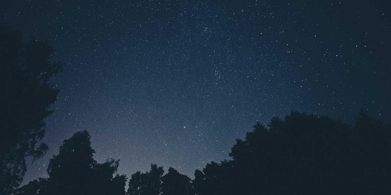 FPS游戏专用鼠标推荐：轻量化与传感器性能的终极平衡指南，打造专业游戏之家