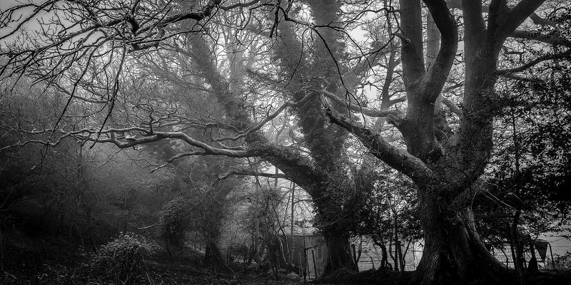 从游戏手办到游戏之家：电竞键盘宏编程与自定义按键在MOBA/RPG游戏中的高级应用指南