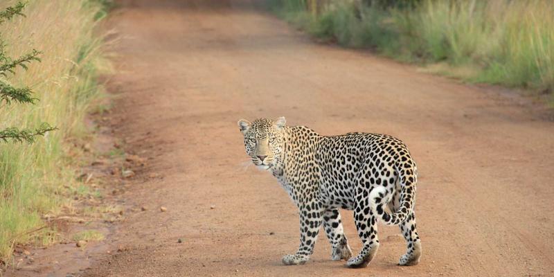 从游戏手柄到收藏手办：电竞外设进阶与一站式游戏商城指南