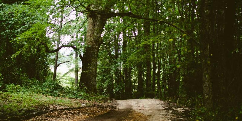 打造专业游戏之家：从麦克风到摄像头的直播设备套装全攻略