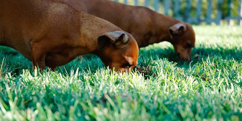游戏之家必备：电竞椅与收纳方案打造极致简洁的桌面生态