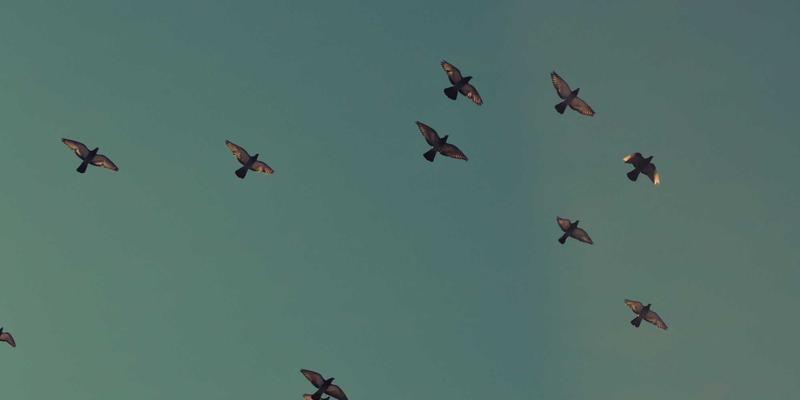 游戏商城实测：4K/8K Hz高回报率鼠标是FPS神器还是营销噱头？搭配机械键盘如何选