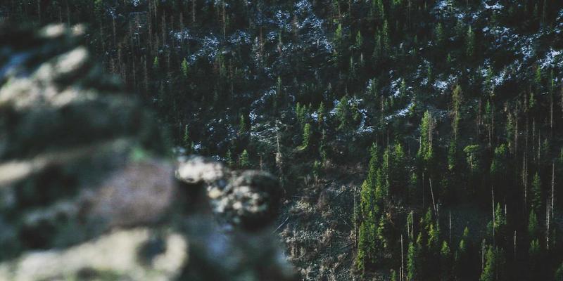 游戏商城选购指南：无线游戏鼠标的延迟真相，电竞耳机与鼠标如何搭配？