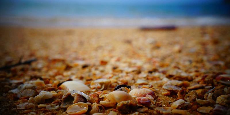 游戏键盘选购指南：Gasket Mount与Top Mount等PCB固定方式如何影响手感与声音