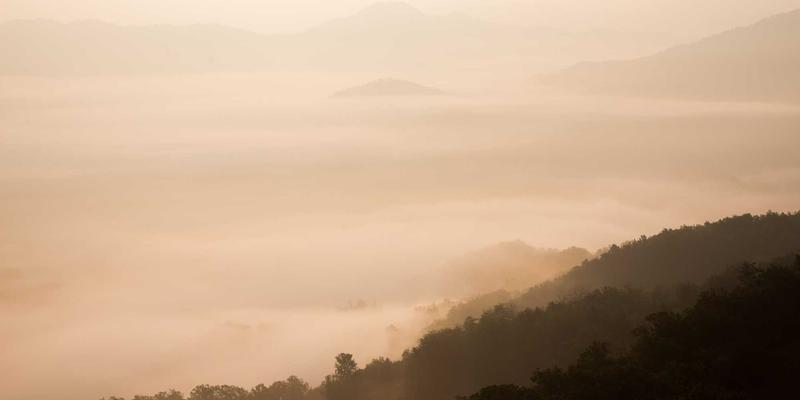 游戏麦克风避坑指南：心型指向与USB/XLR接口如何选？电竞外设选购终极攻略