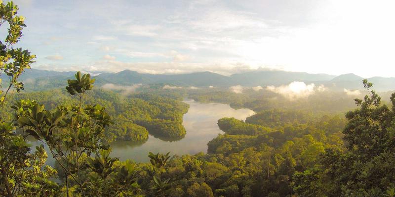 精密制造50:智能制造、工业自动化与自动化产线如何重塑现代工业